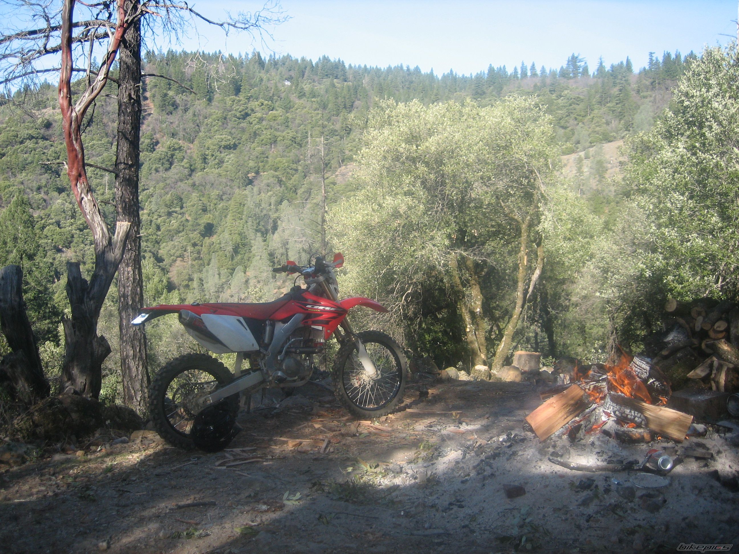 Photo 888382