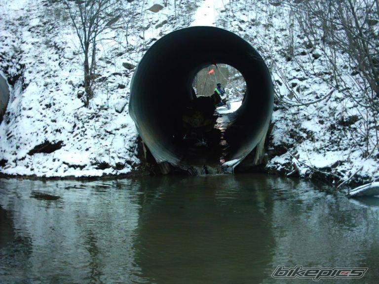 Photo 88839