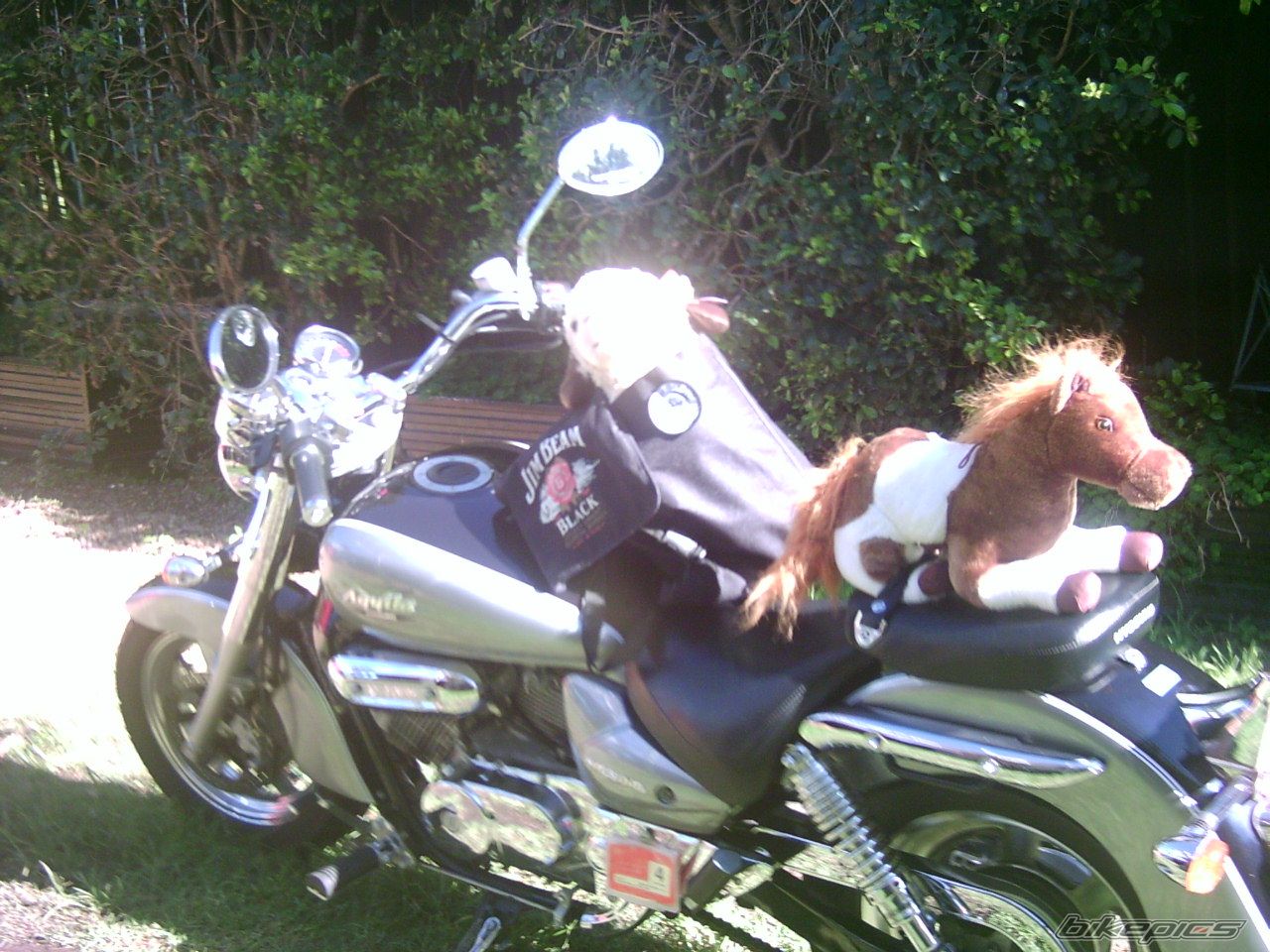 Bike Photo 888504