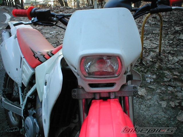 Photo 888669