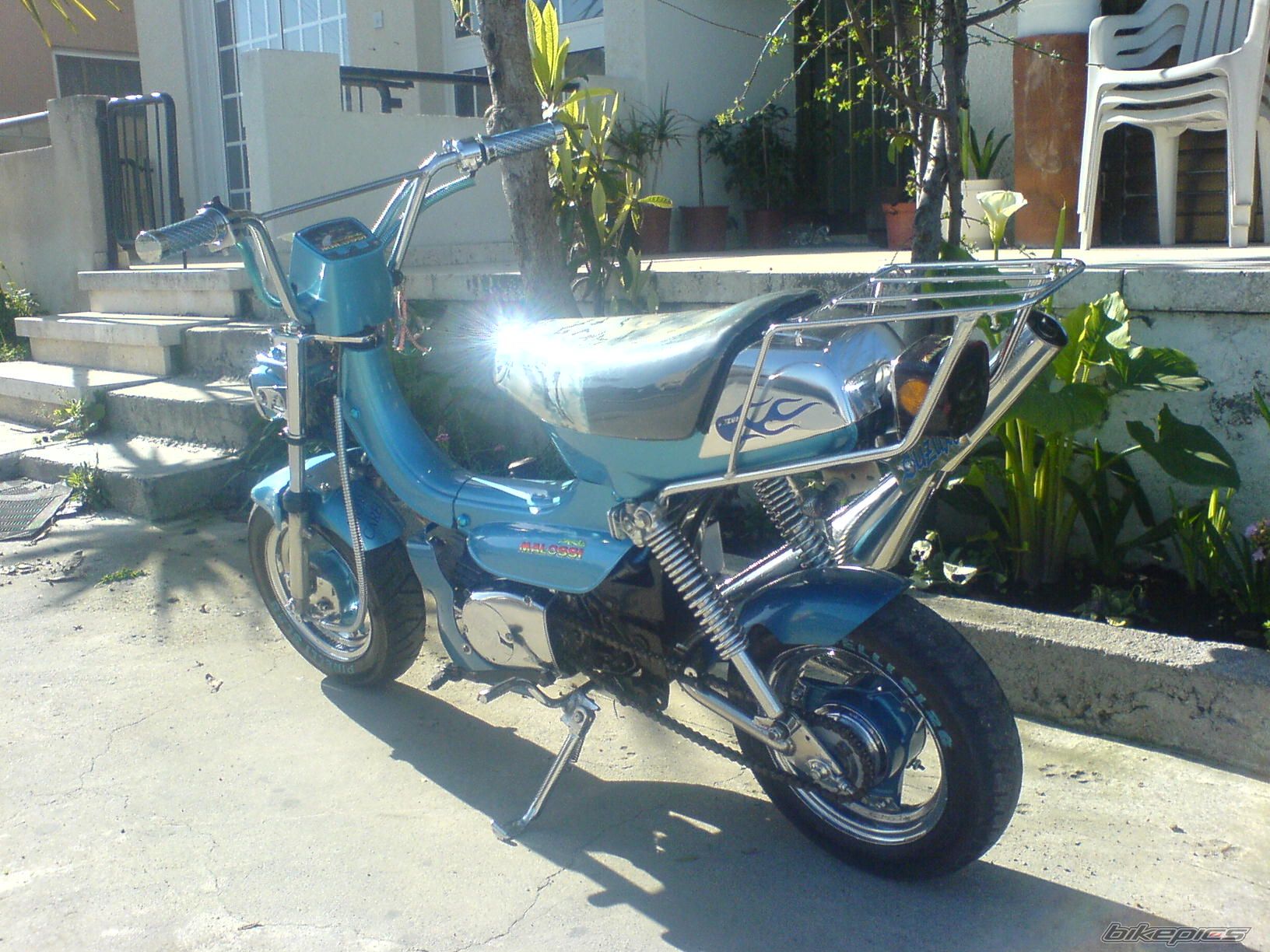 Photo 888707