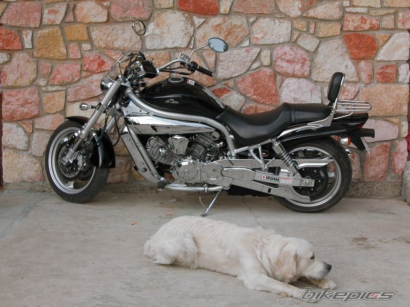 Bike Photo 889590
