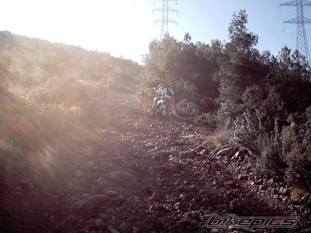 Bike Photo 889656
