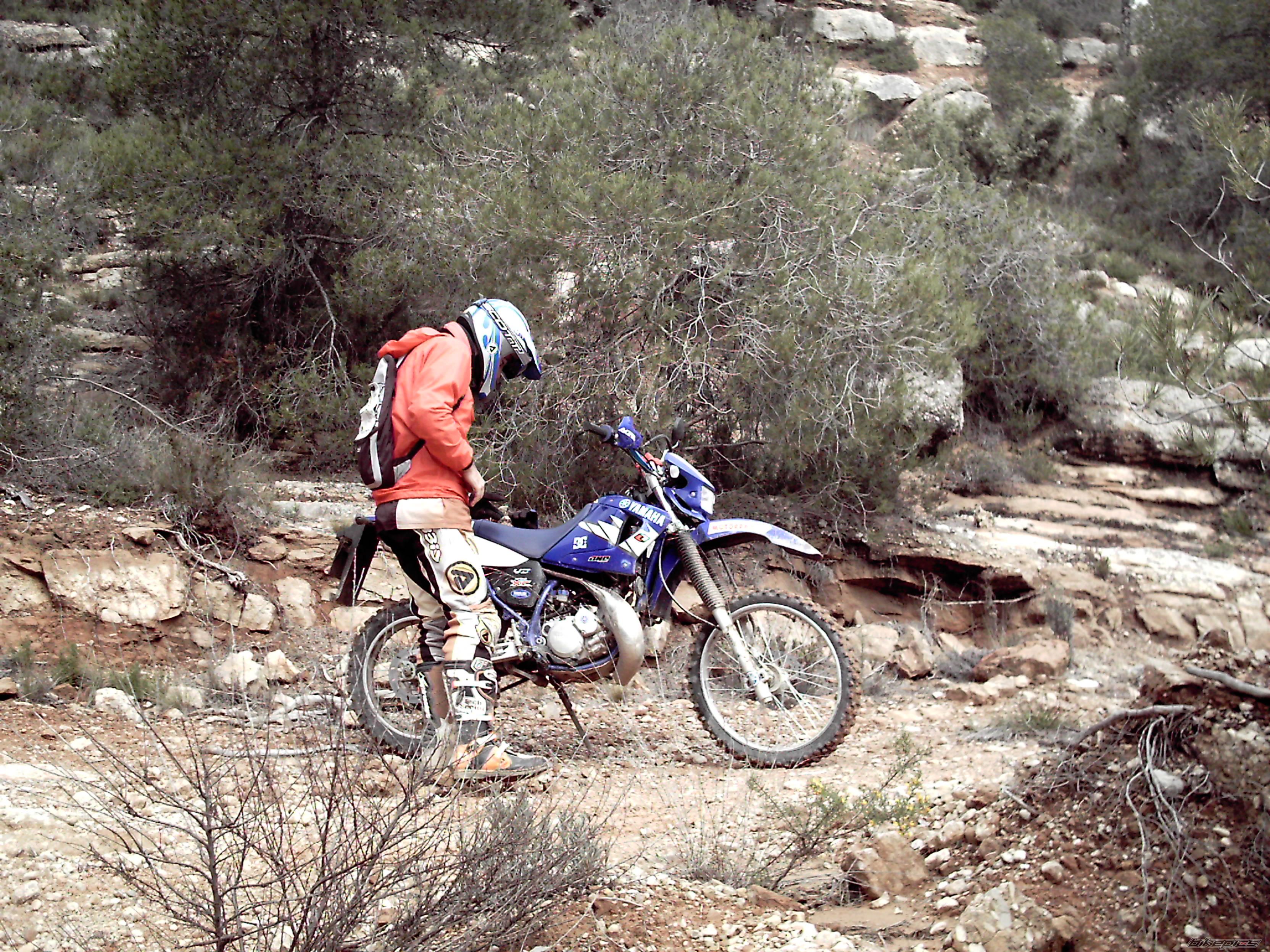 Bike Photo 889659
