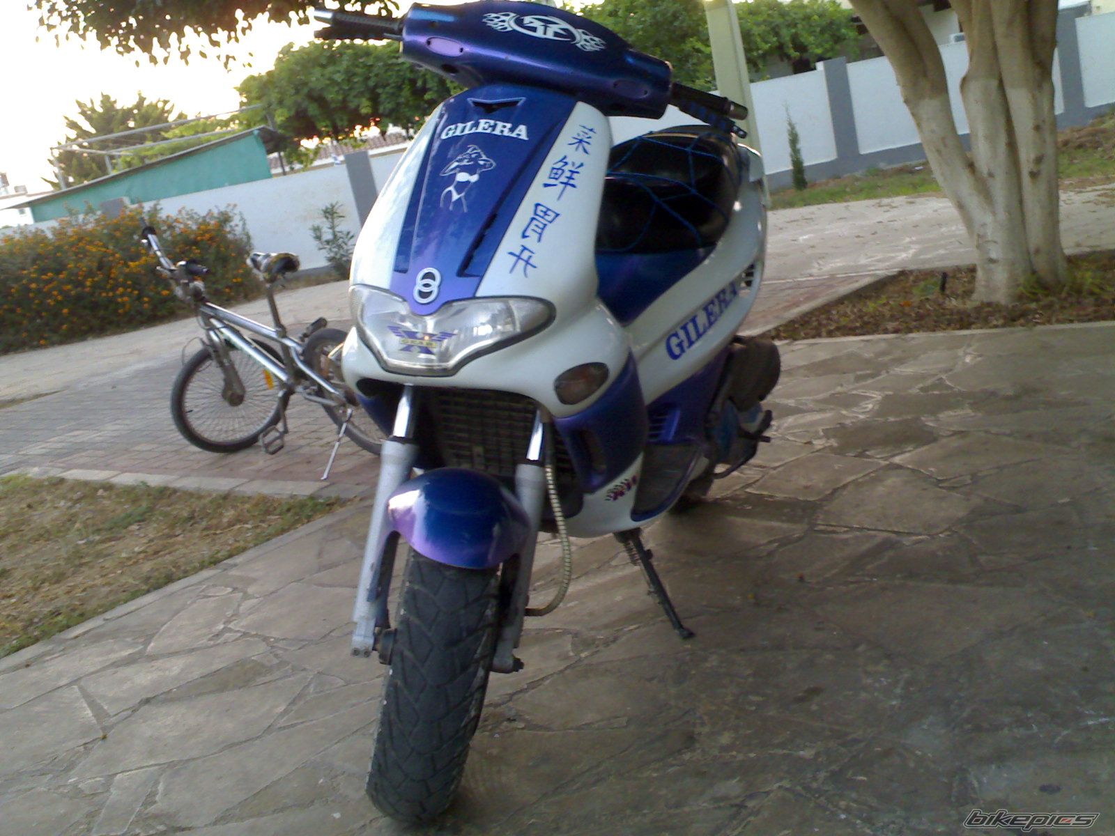 Photo 889971