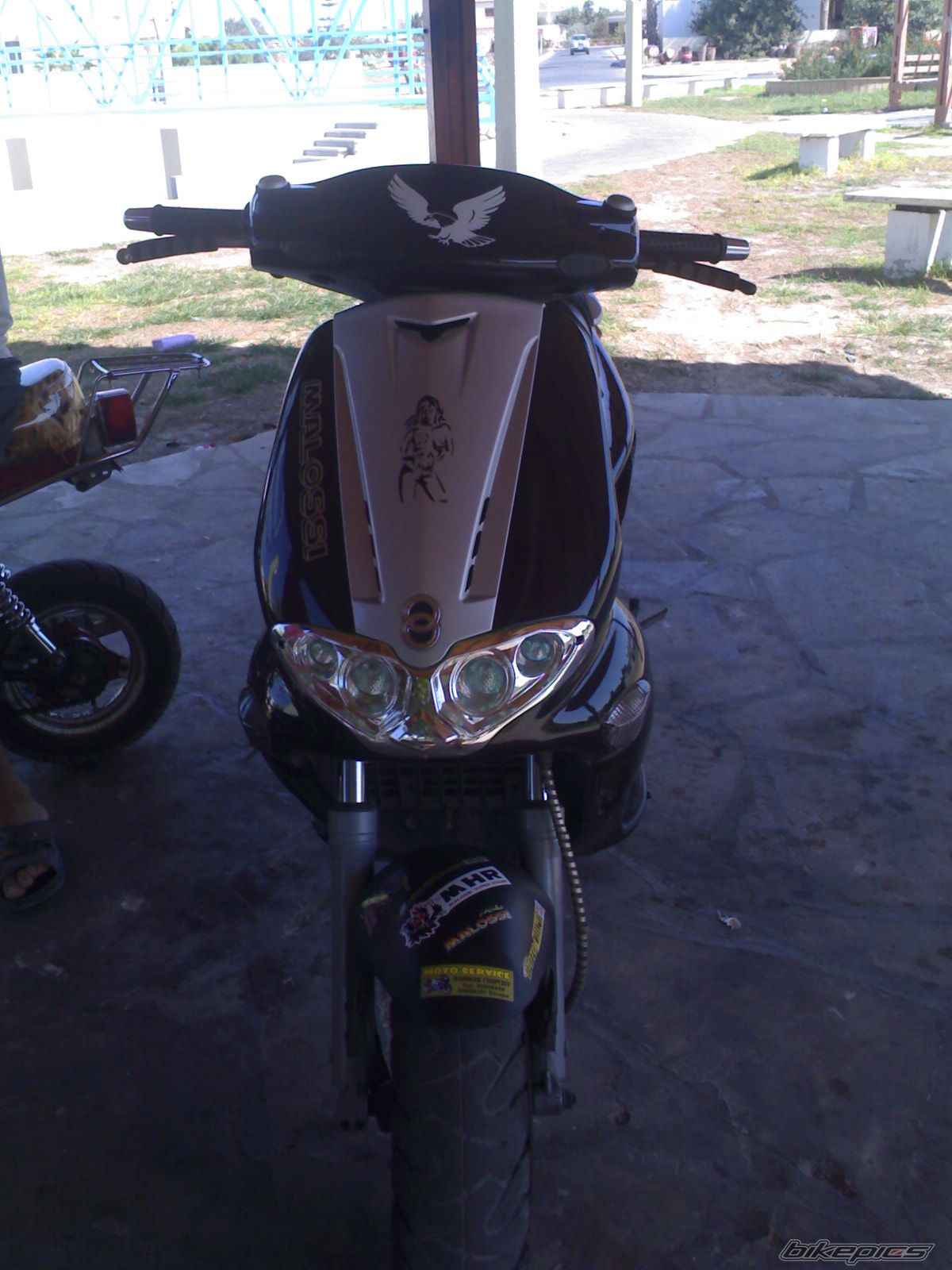 Photo 889972