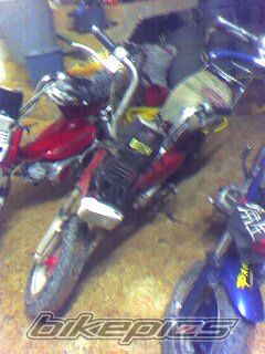 Photo 890011