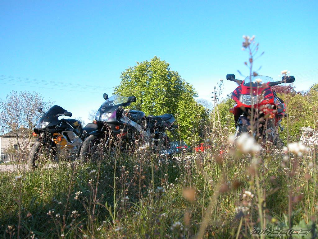 Bike Photo 890084
