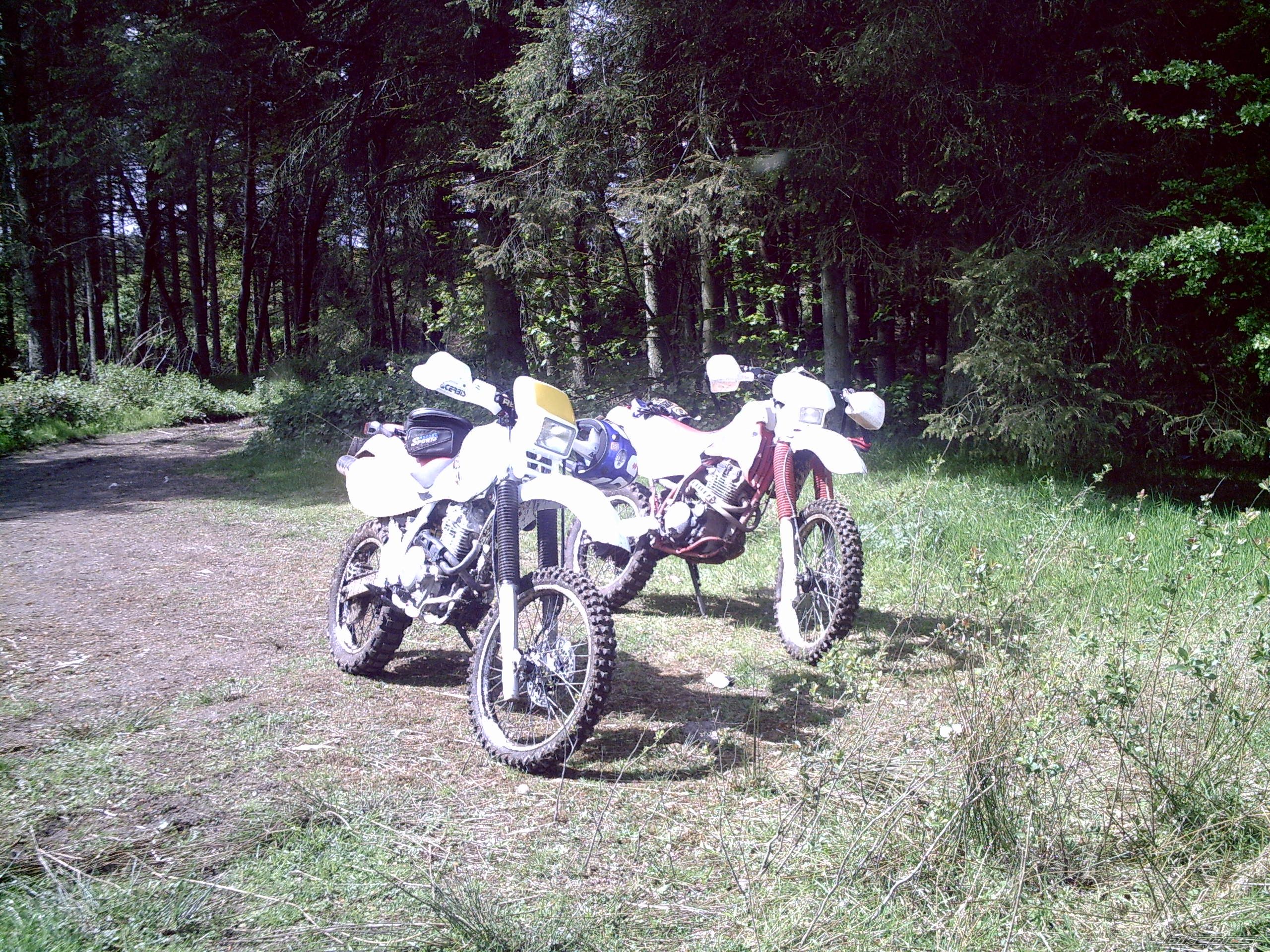 Photo 890107