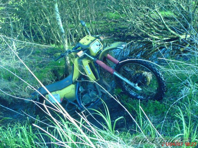 Bike Photo 890298
