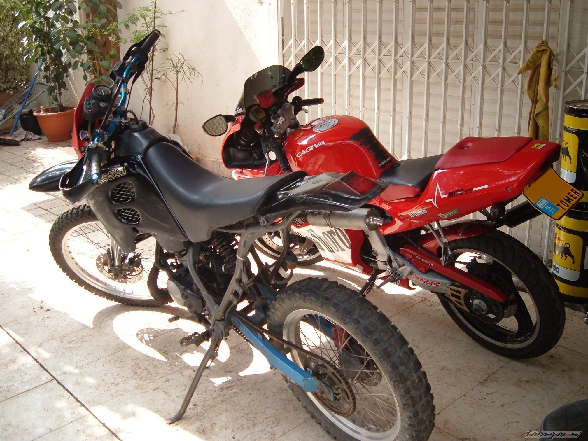 Photo 890394