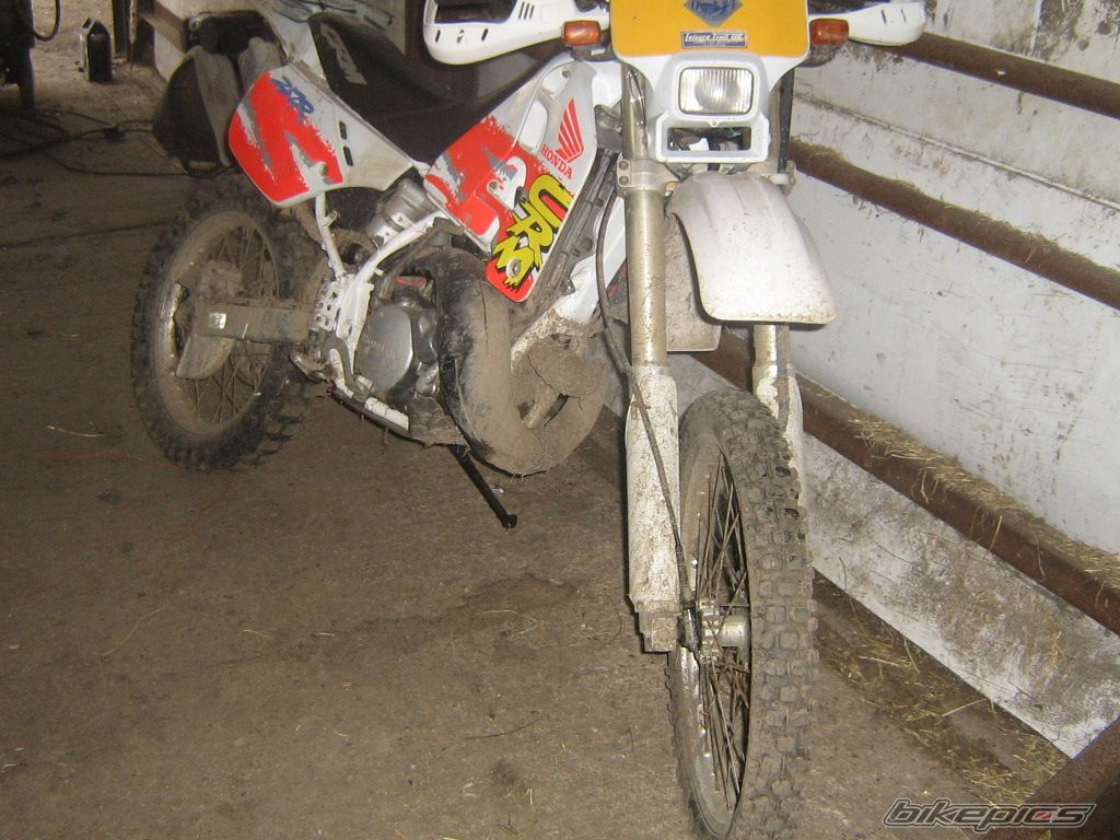 Bike Photo 890501
