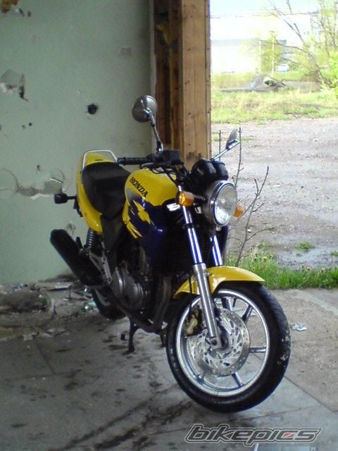 Photo 890519
