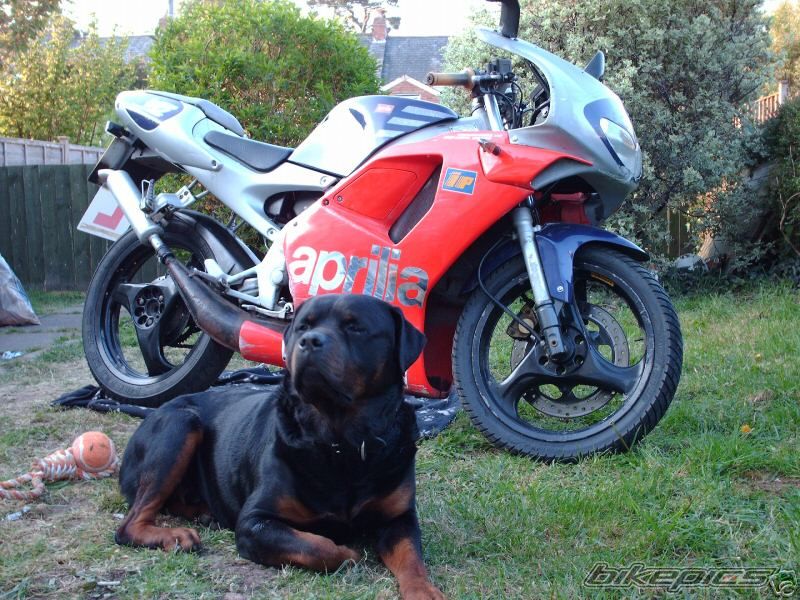 Bike Photo 890589