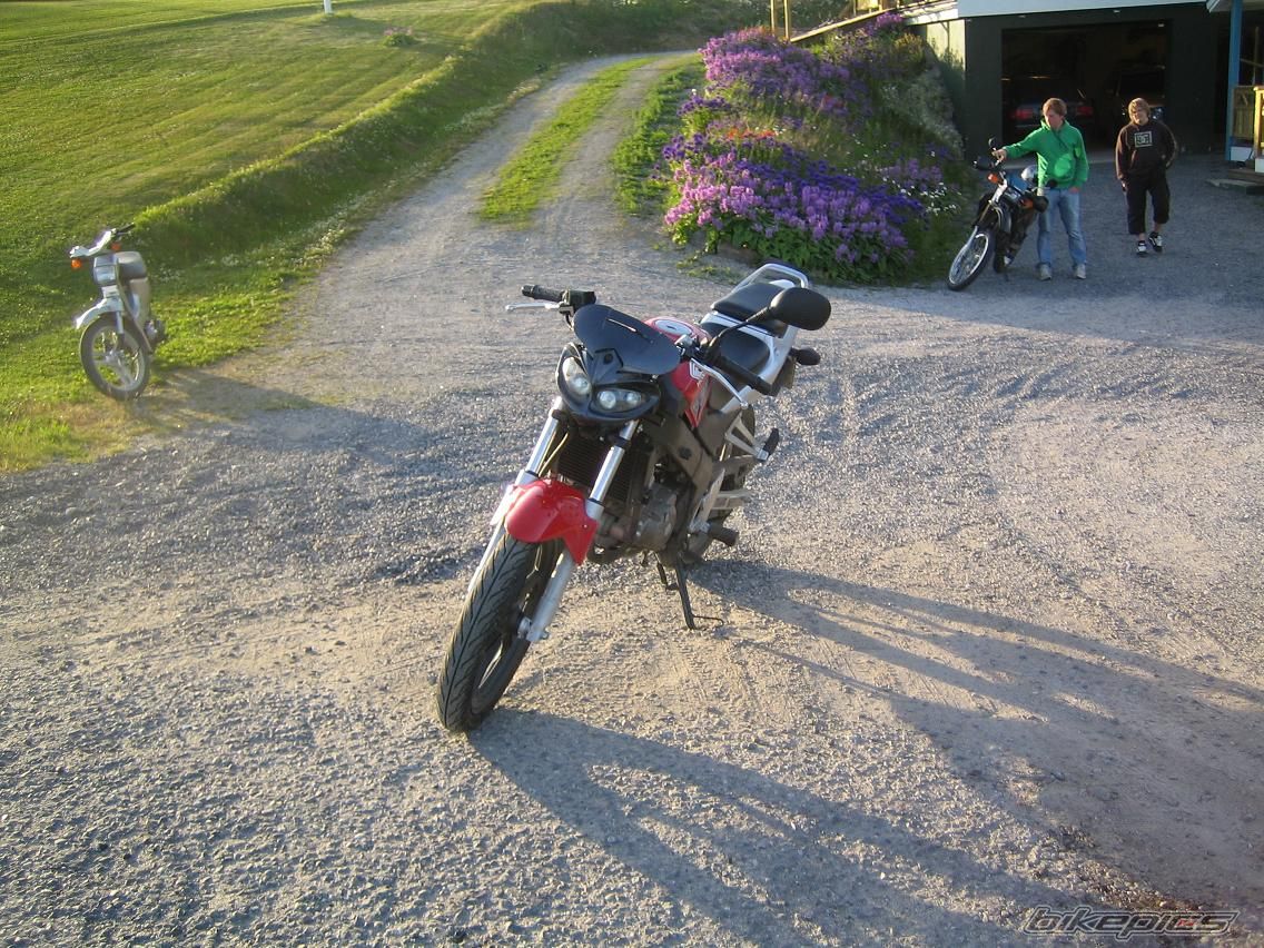 Bike Photo 890601
