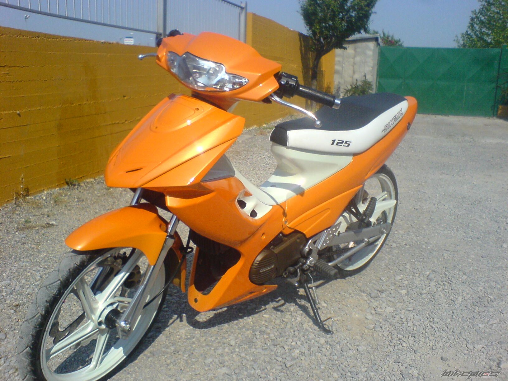Photo 891359