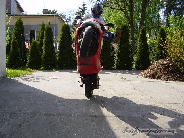 Photo 891430