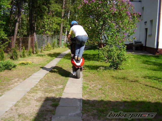 Photo 891431