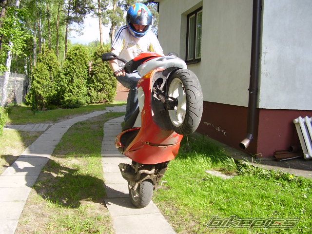 Photo 891440