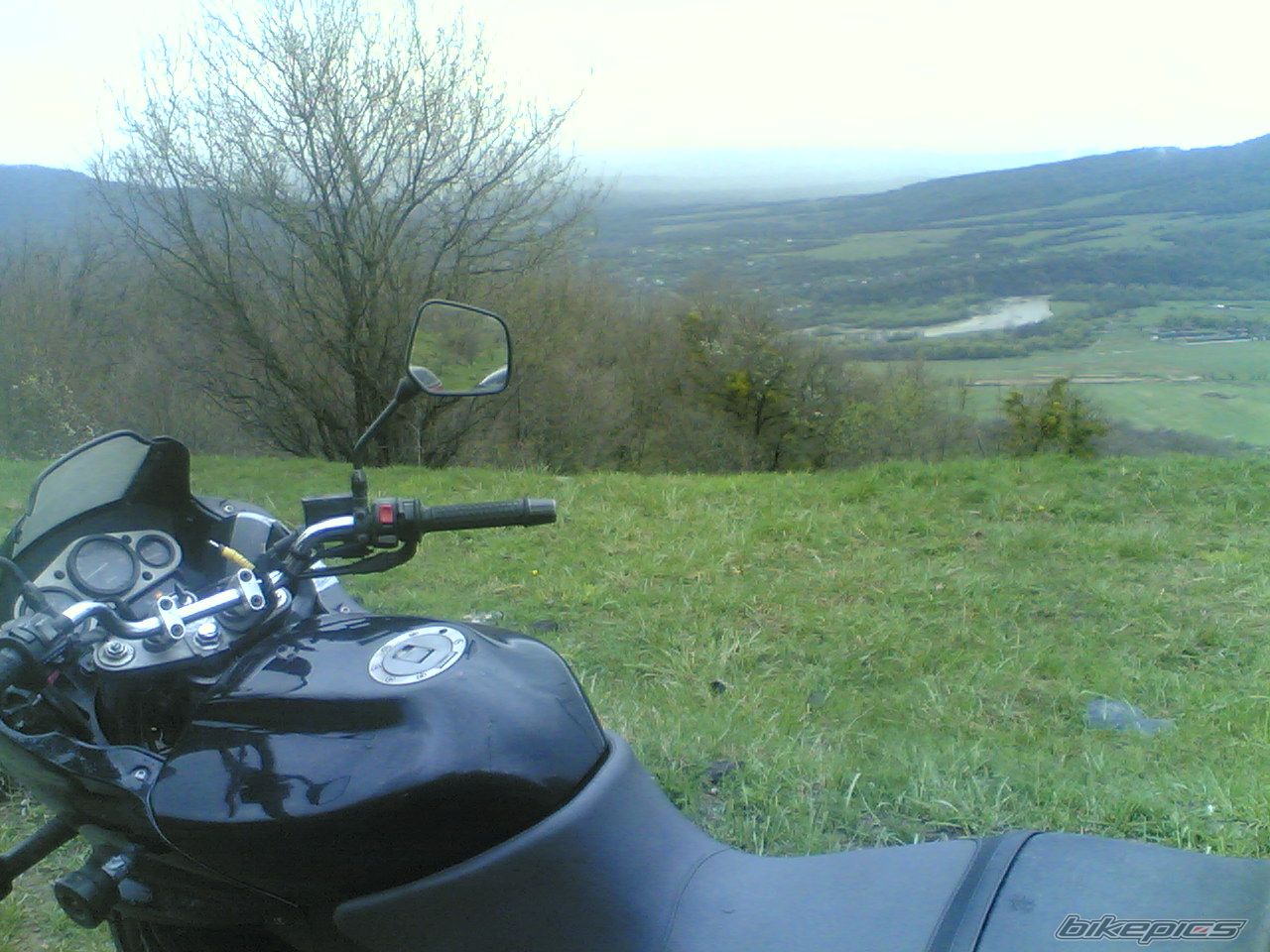 Photo 891570