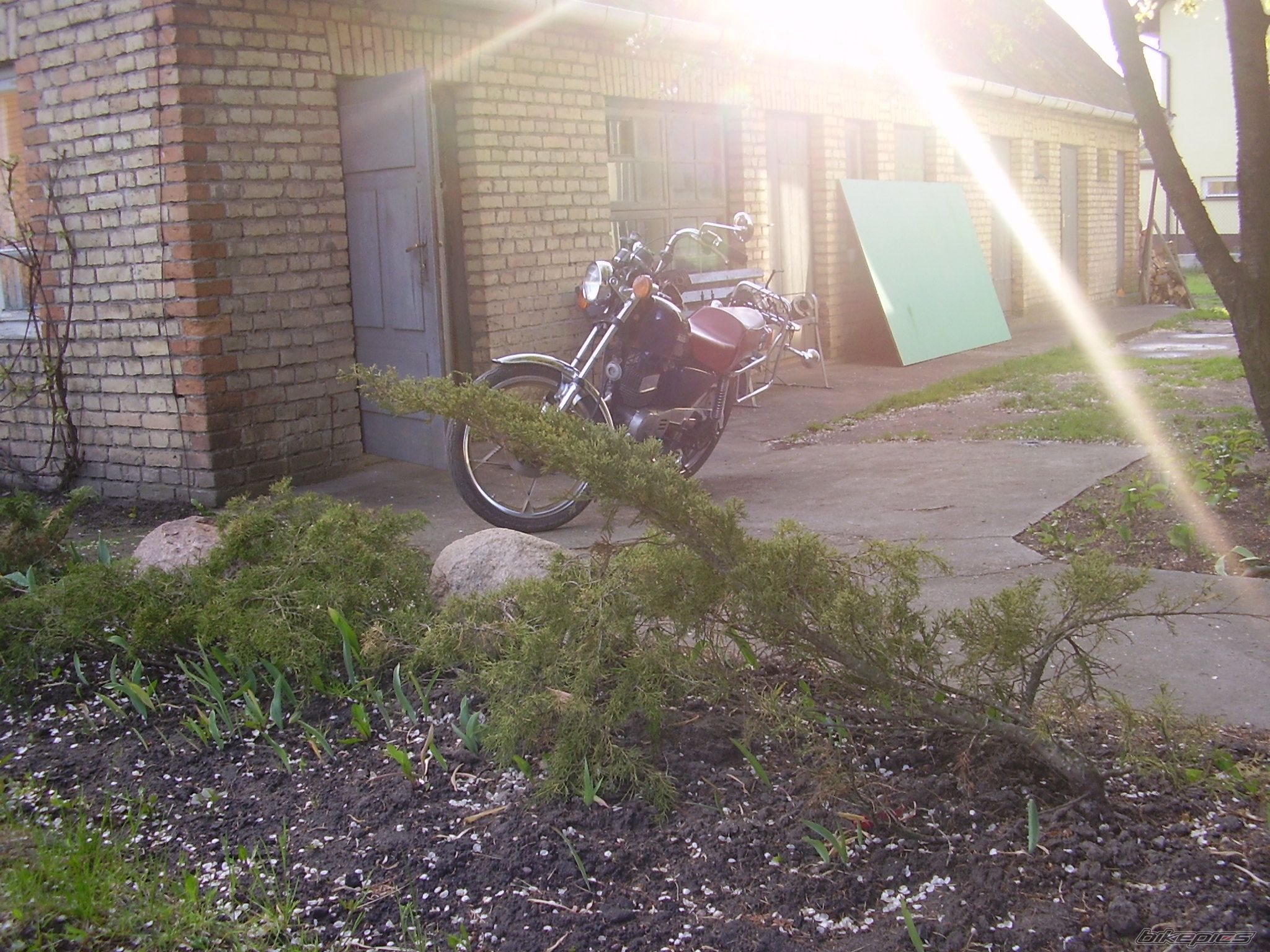 Photo 891812