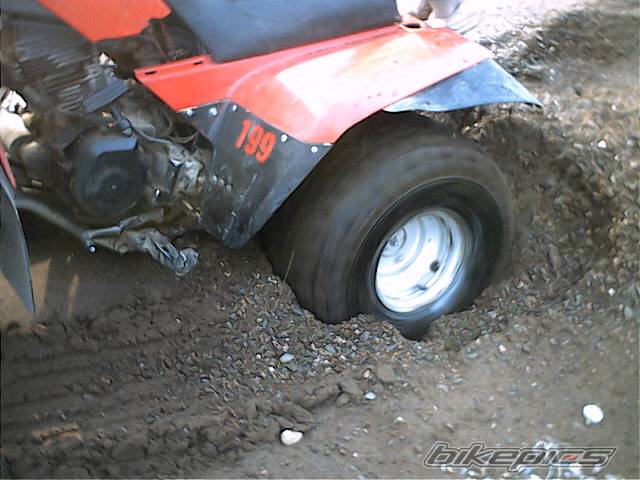 Photo 89189
