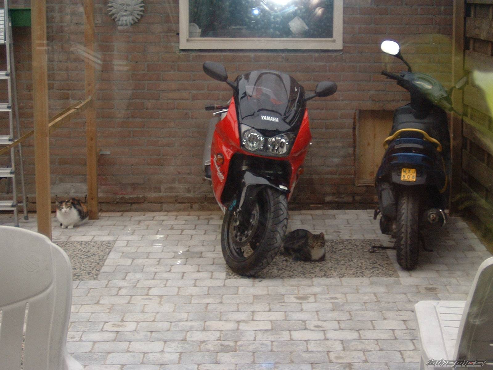 Photo 89213