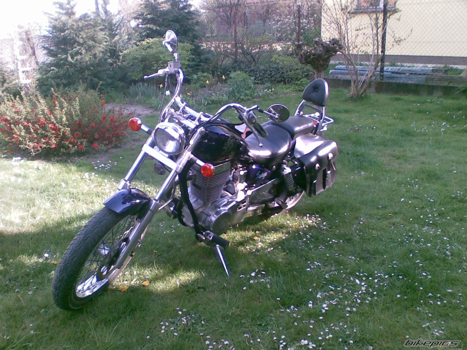 Bike Photo 892281