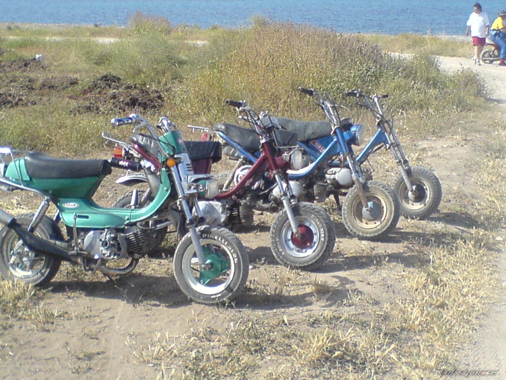 Photo 892569