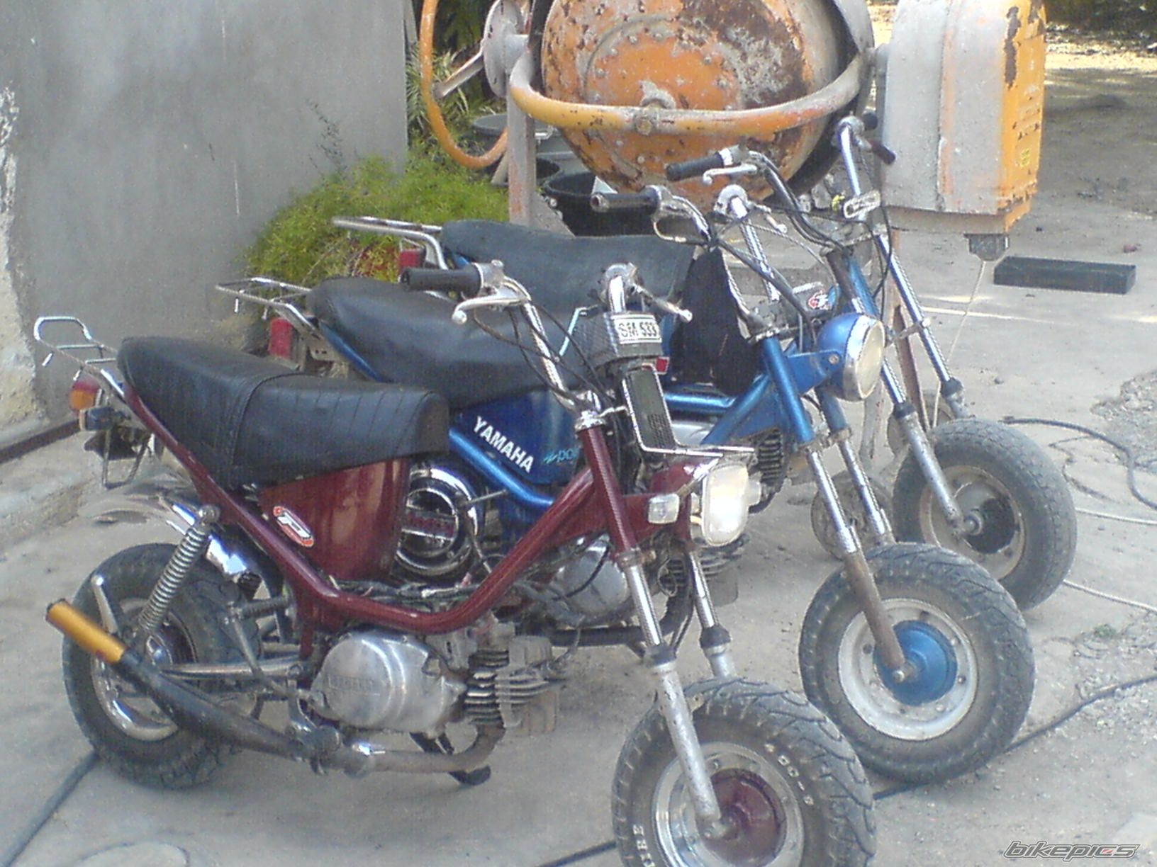 Photo 892581