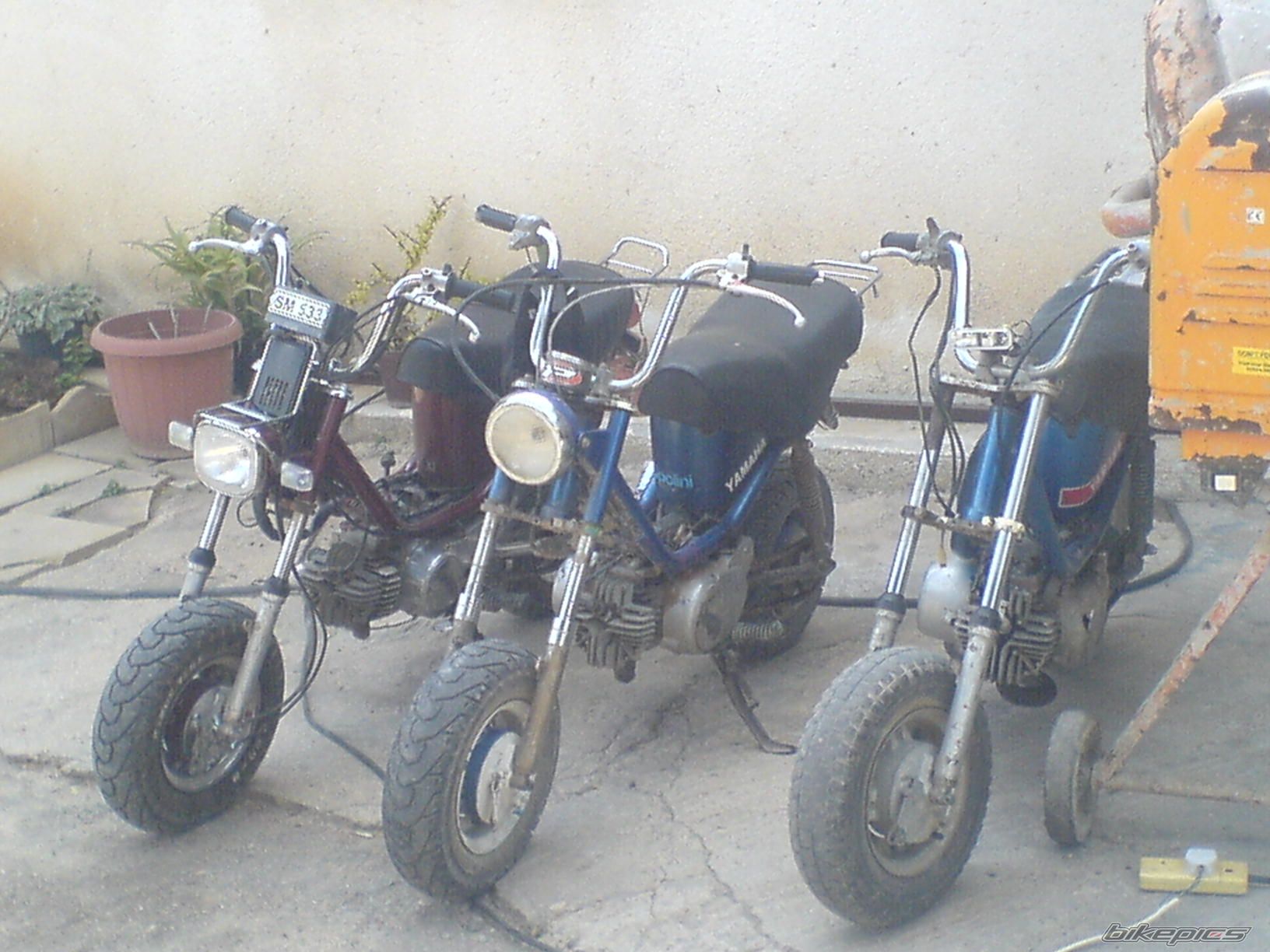 Photo 892585