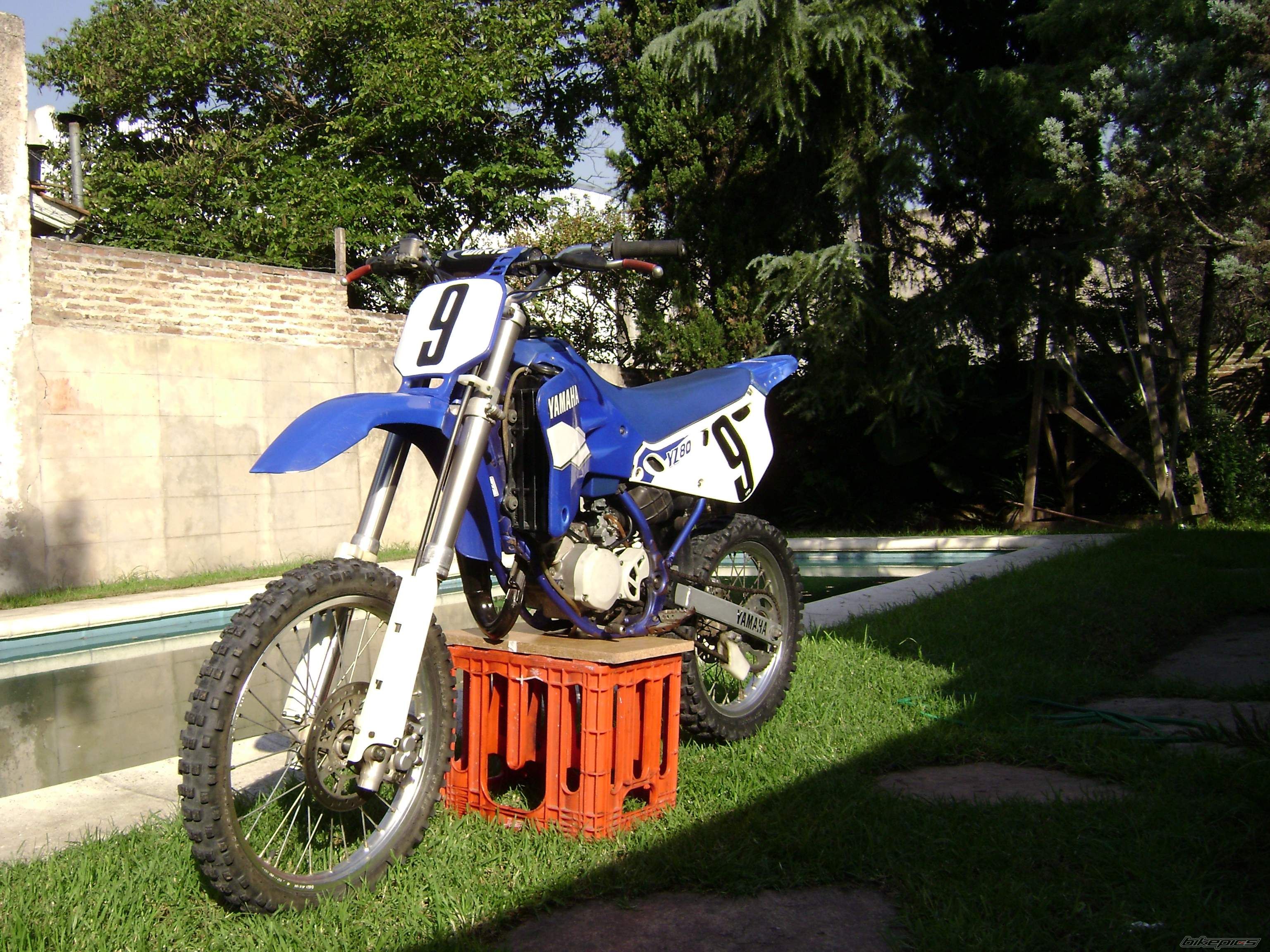 Photo 892894