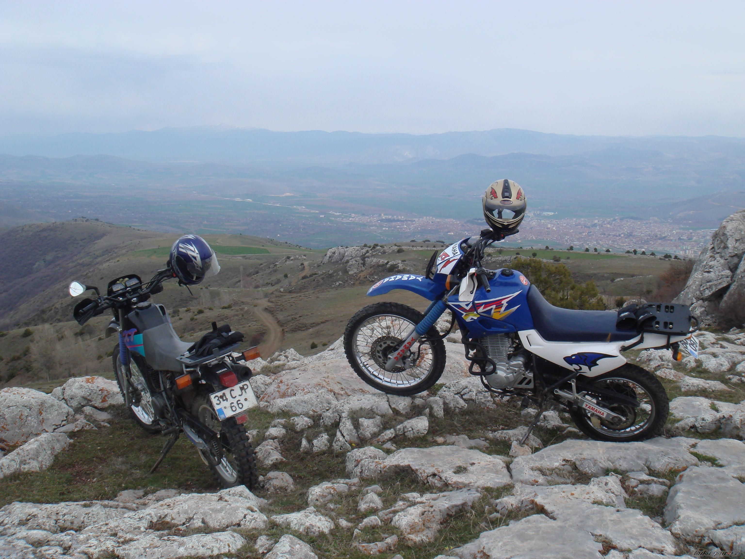 Photo 893243