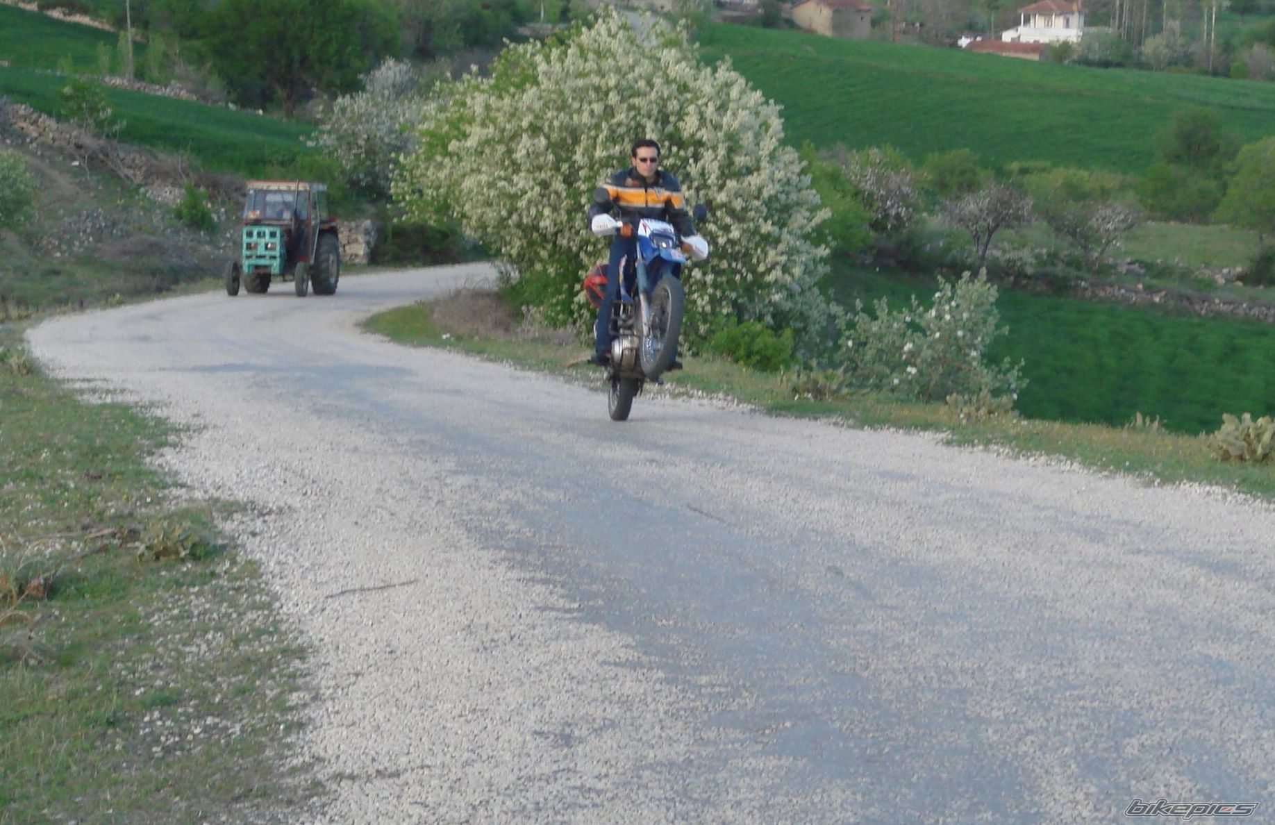 Photo 893251