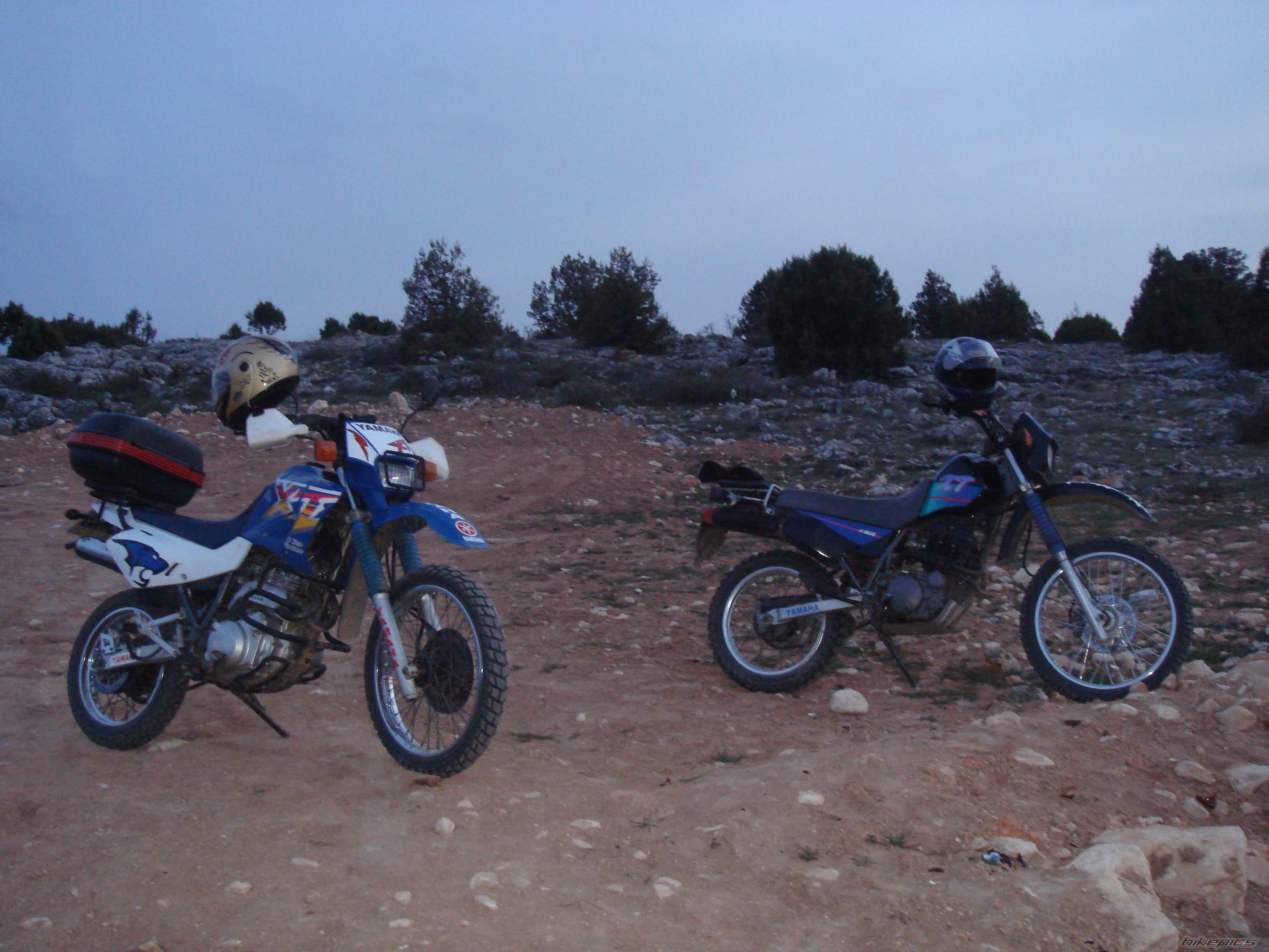 Photo 893269