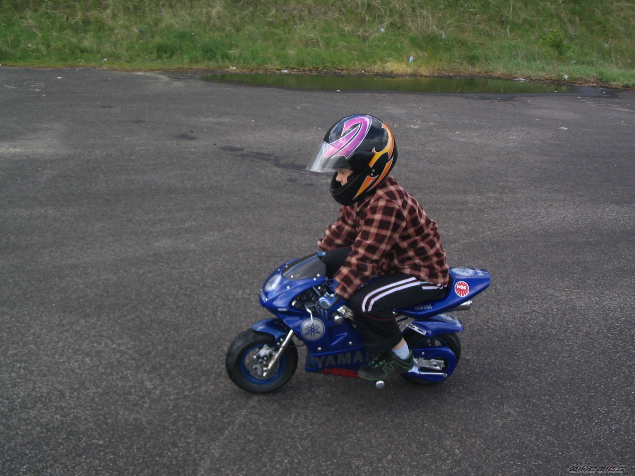 Photo 893402
