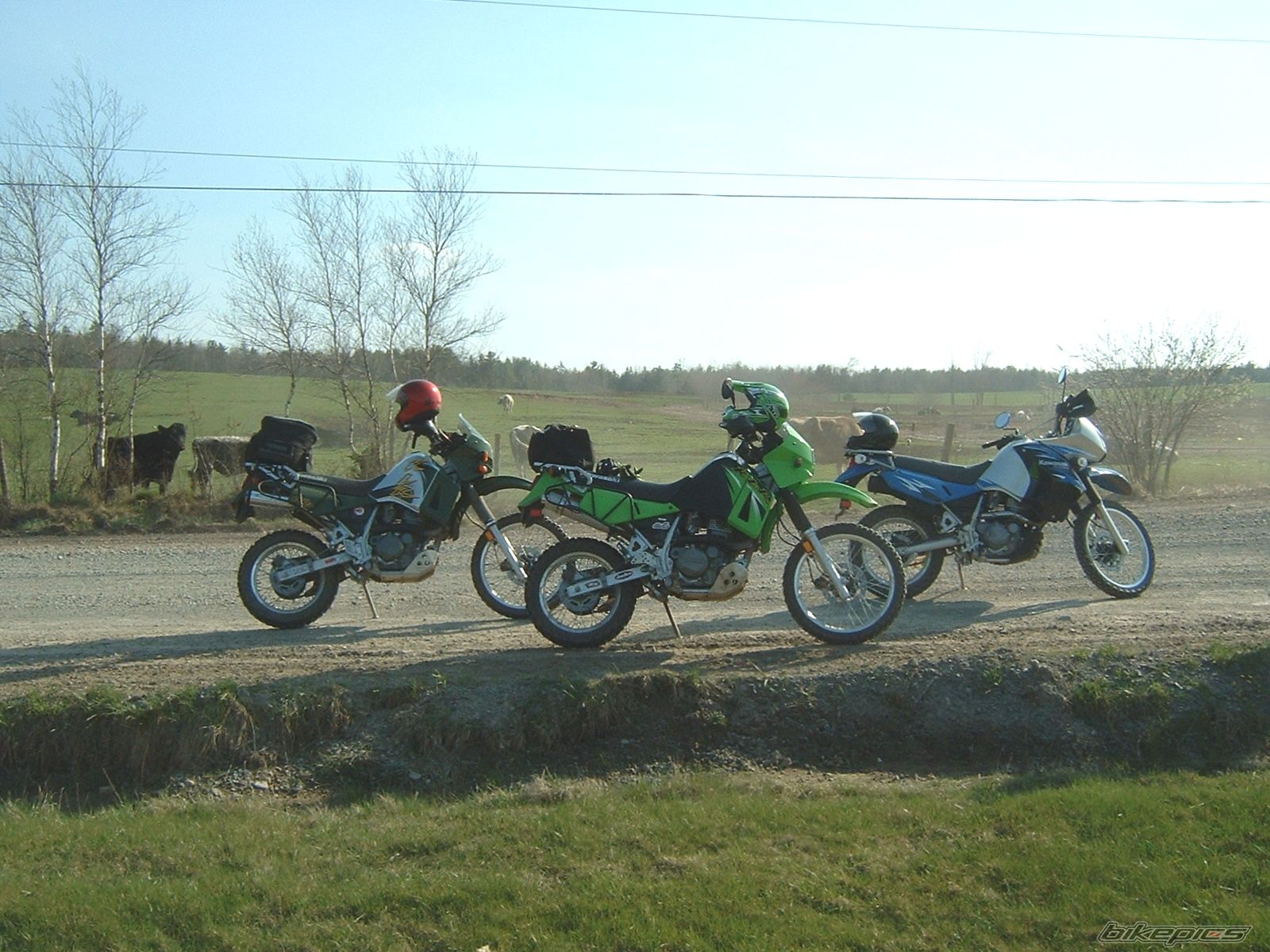 Bike Photo 894098