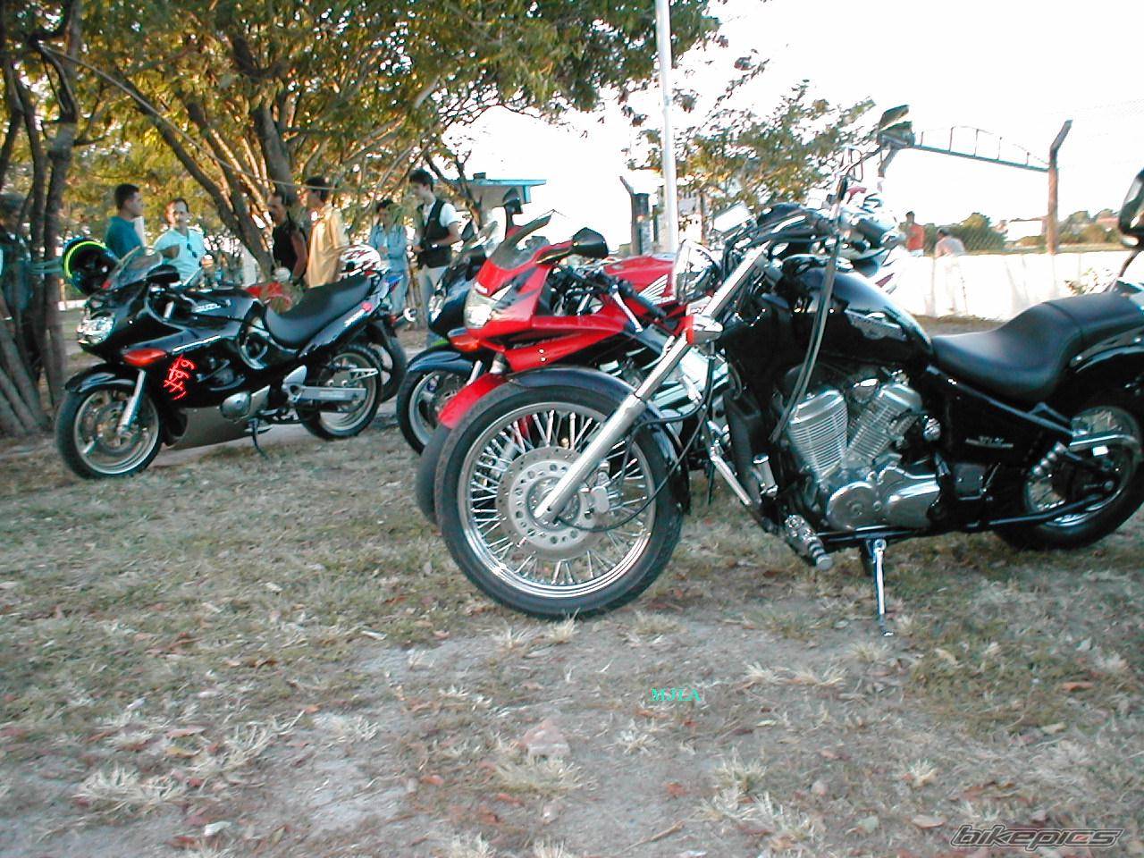 Bike Photo 89446