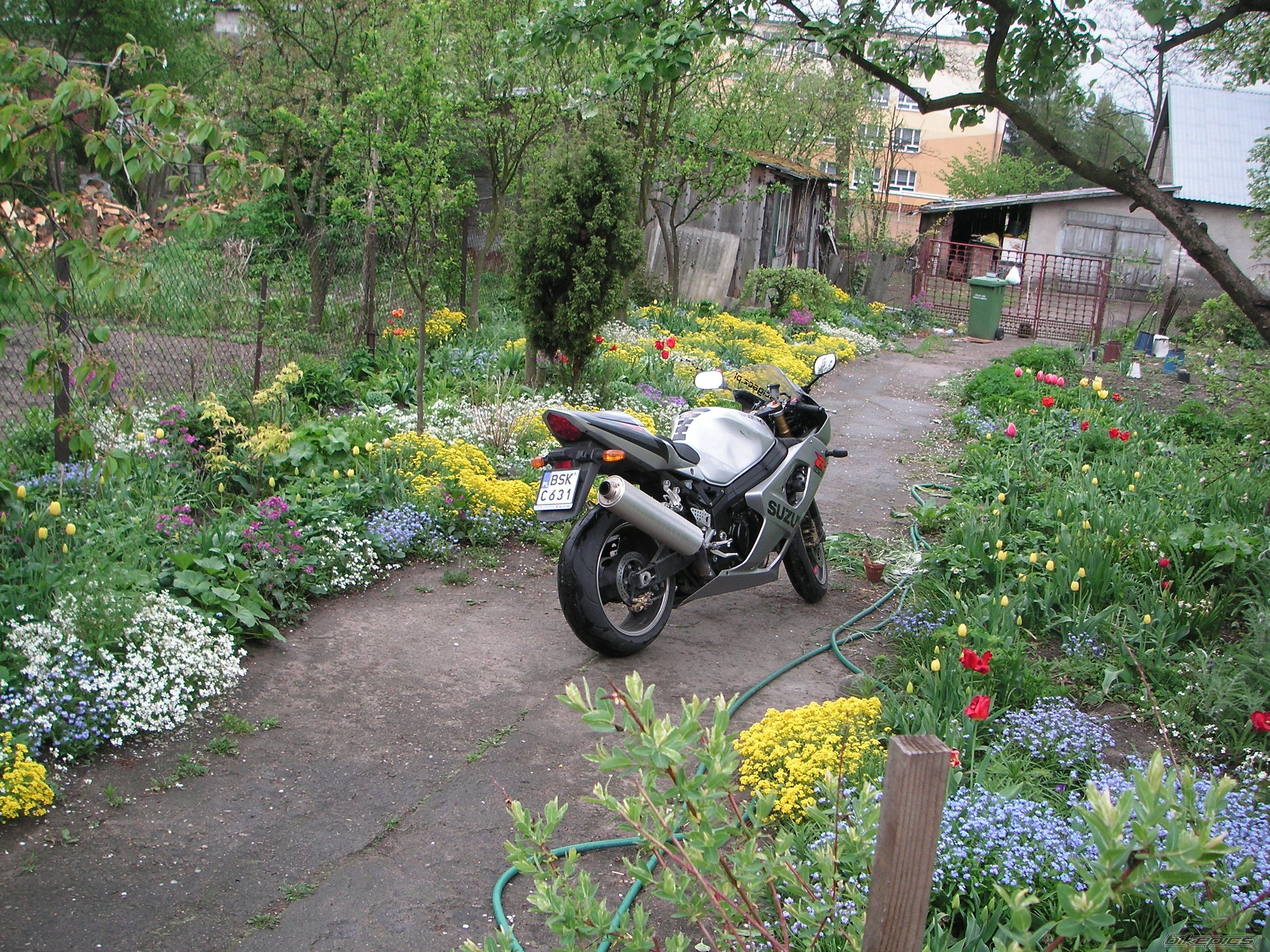 Photo 894492