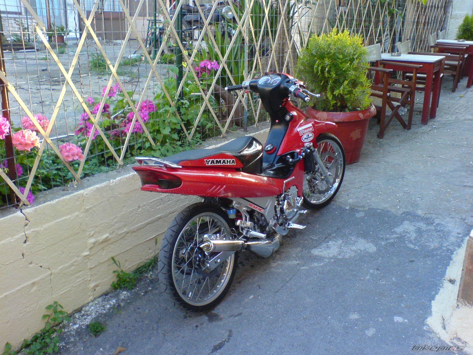 Bike Photo 894594