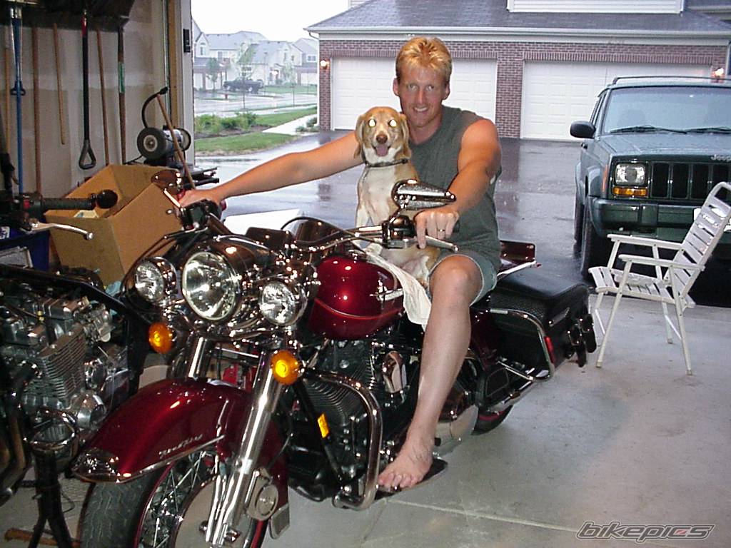 Bike Photo 8949