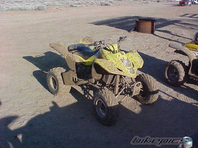 Photo 89497