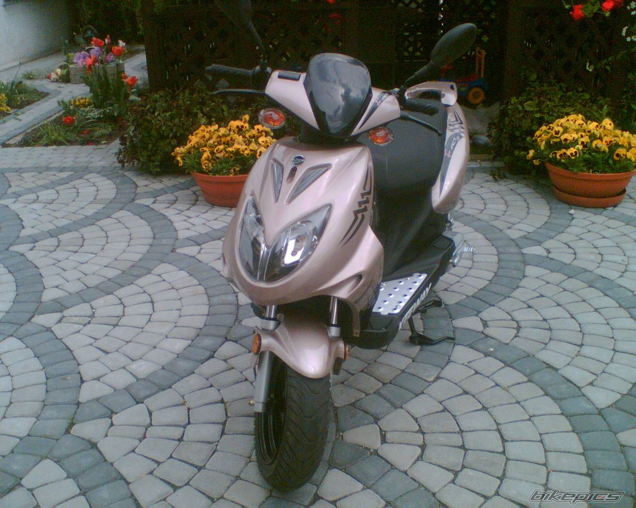 Bike Photo 895193