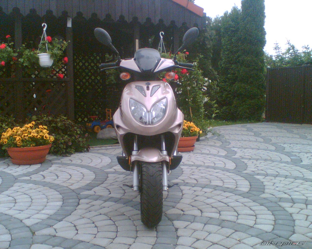 Bike Photo 895201