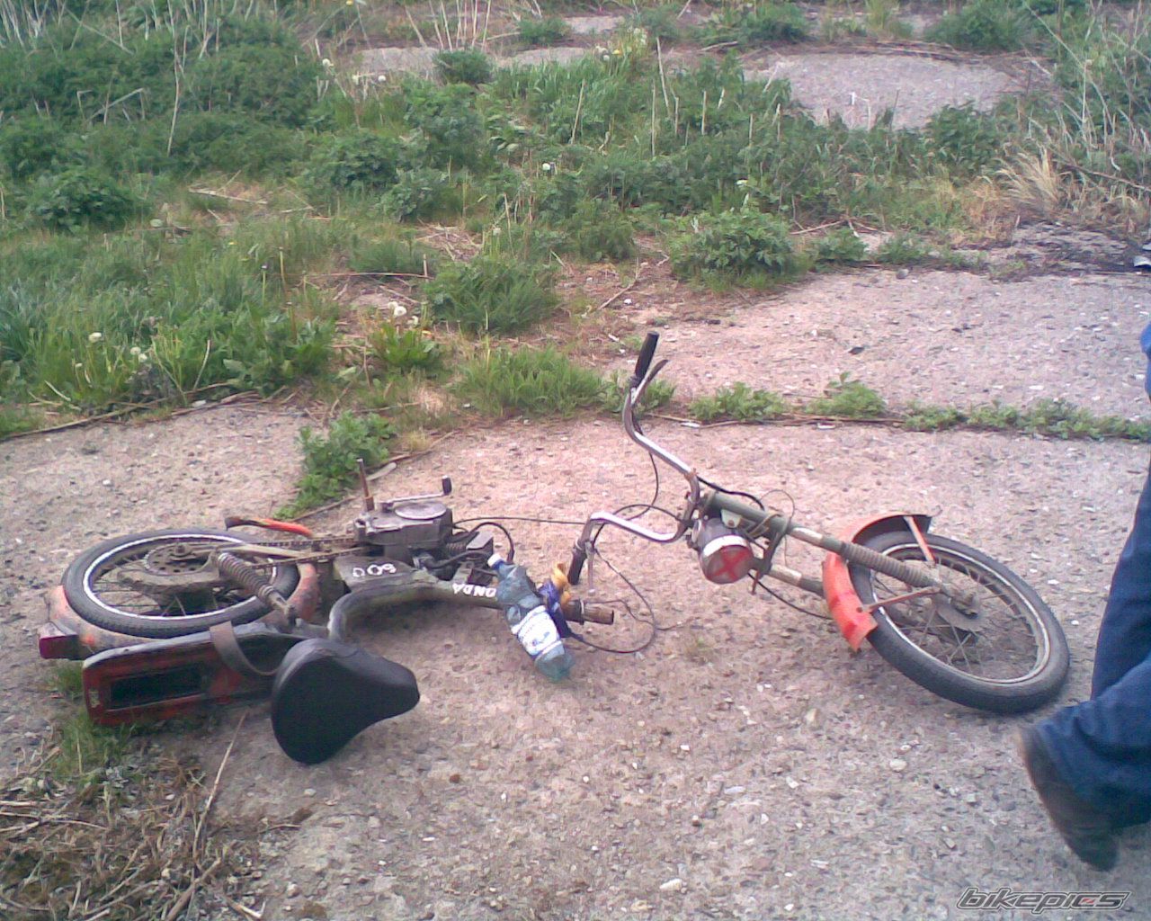 Photo 895246