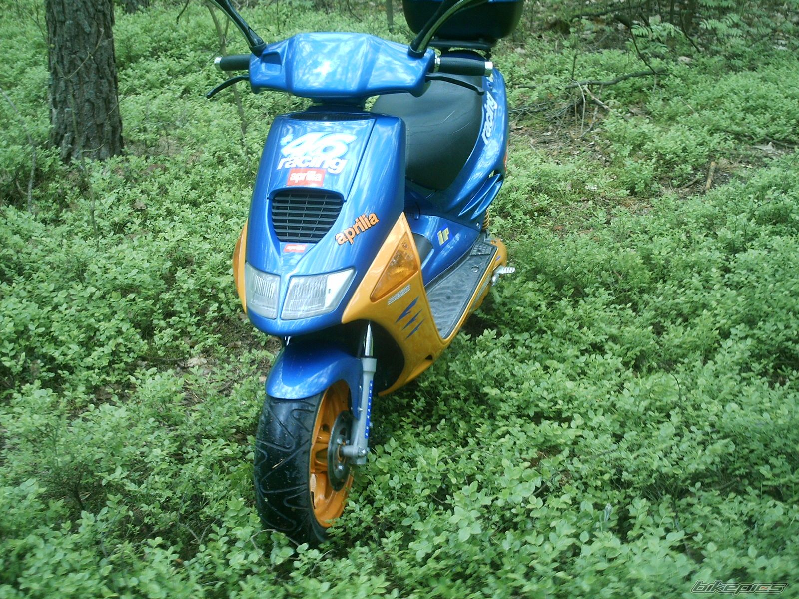 Bike Photo 895374