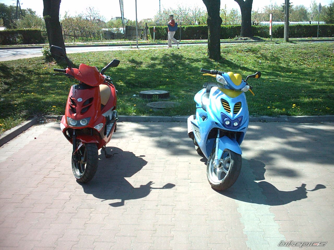 Photo 895697