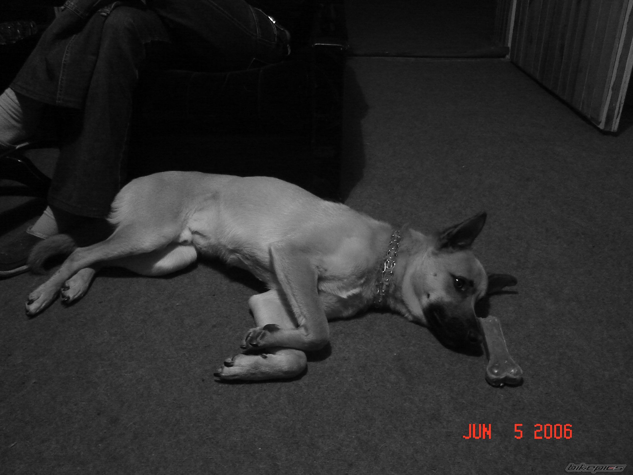 Photo 896026