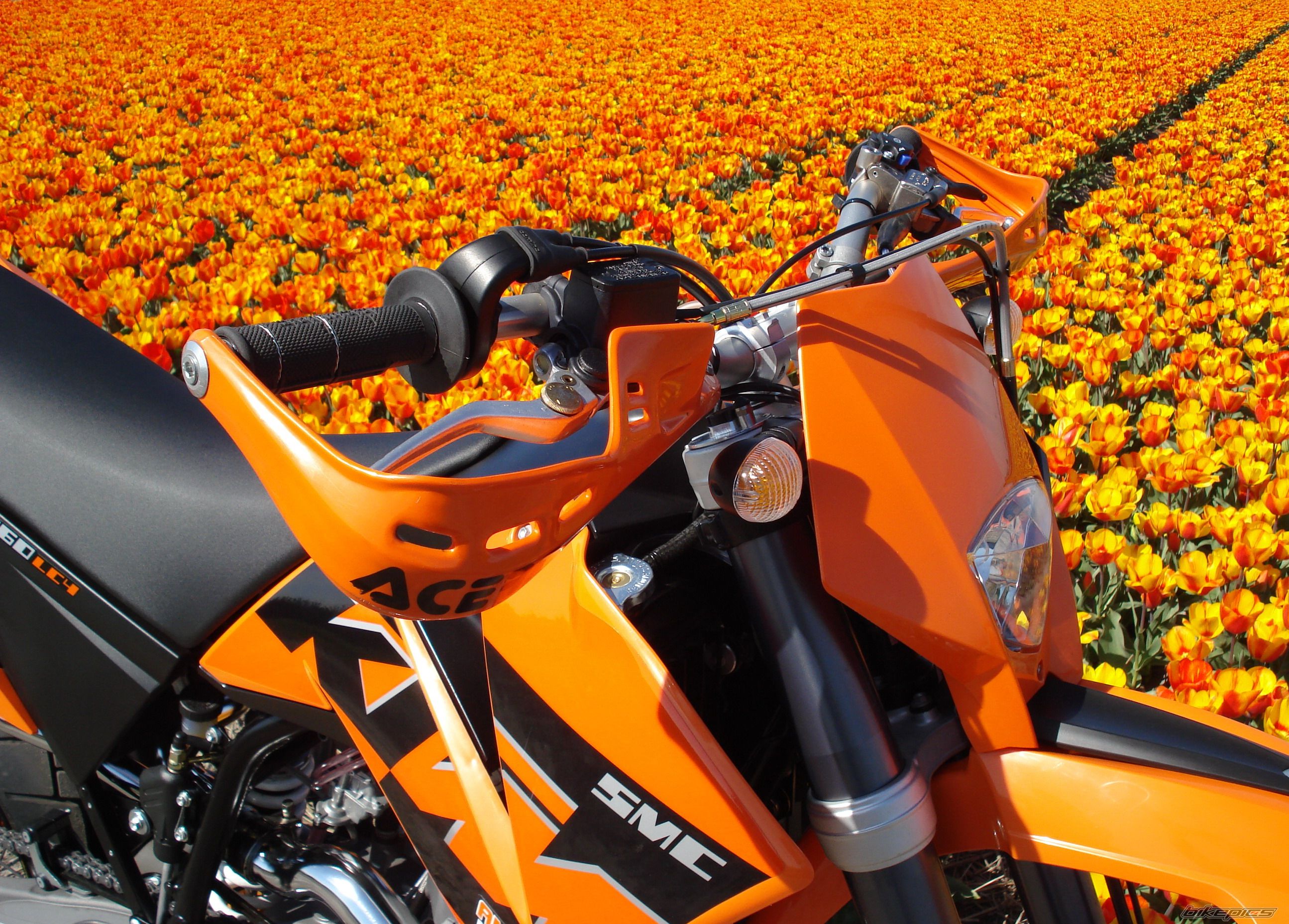 Bike Photo 896043