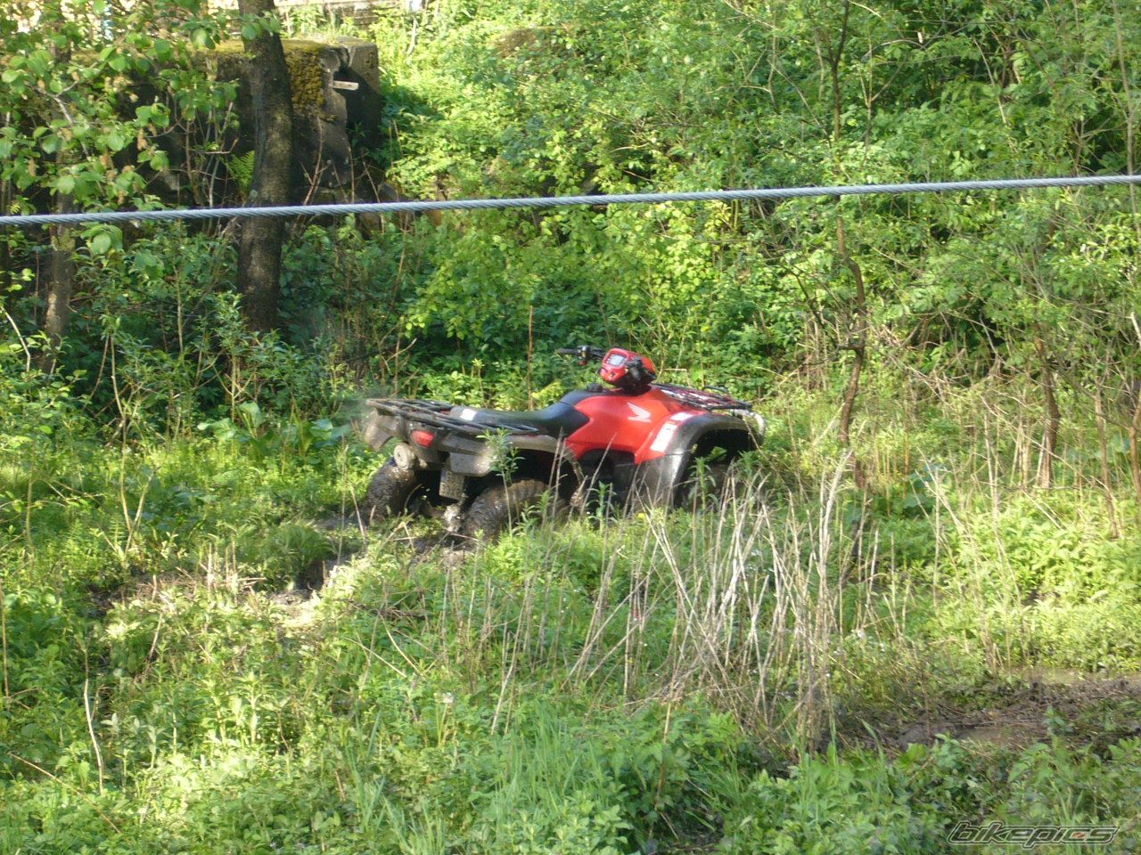 Bike Photo 896342